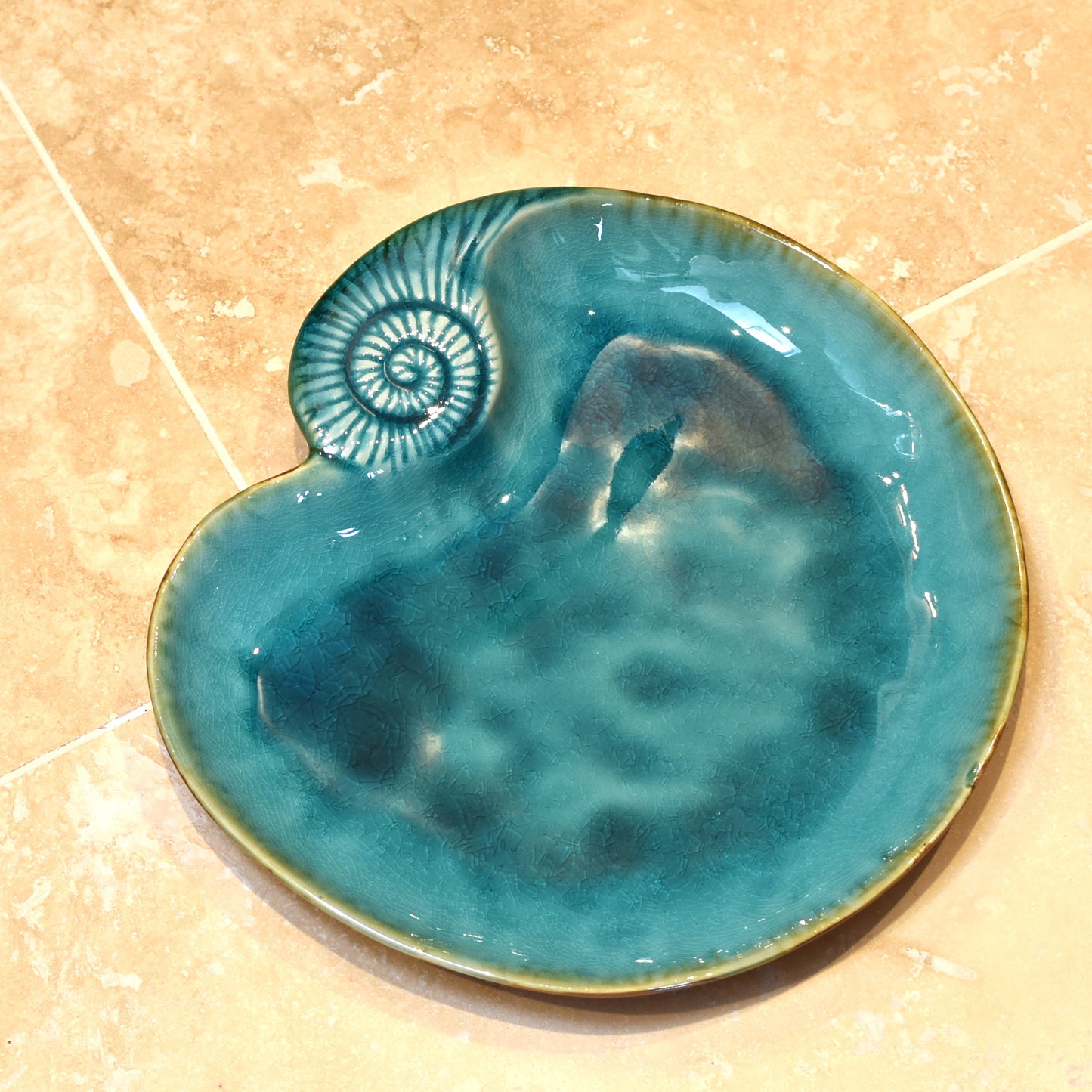 Shell Plate - Dark Turquoise