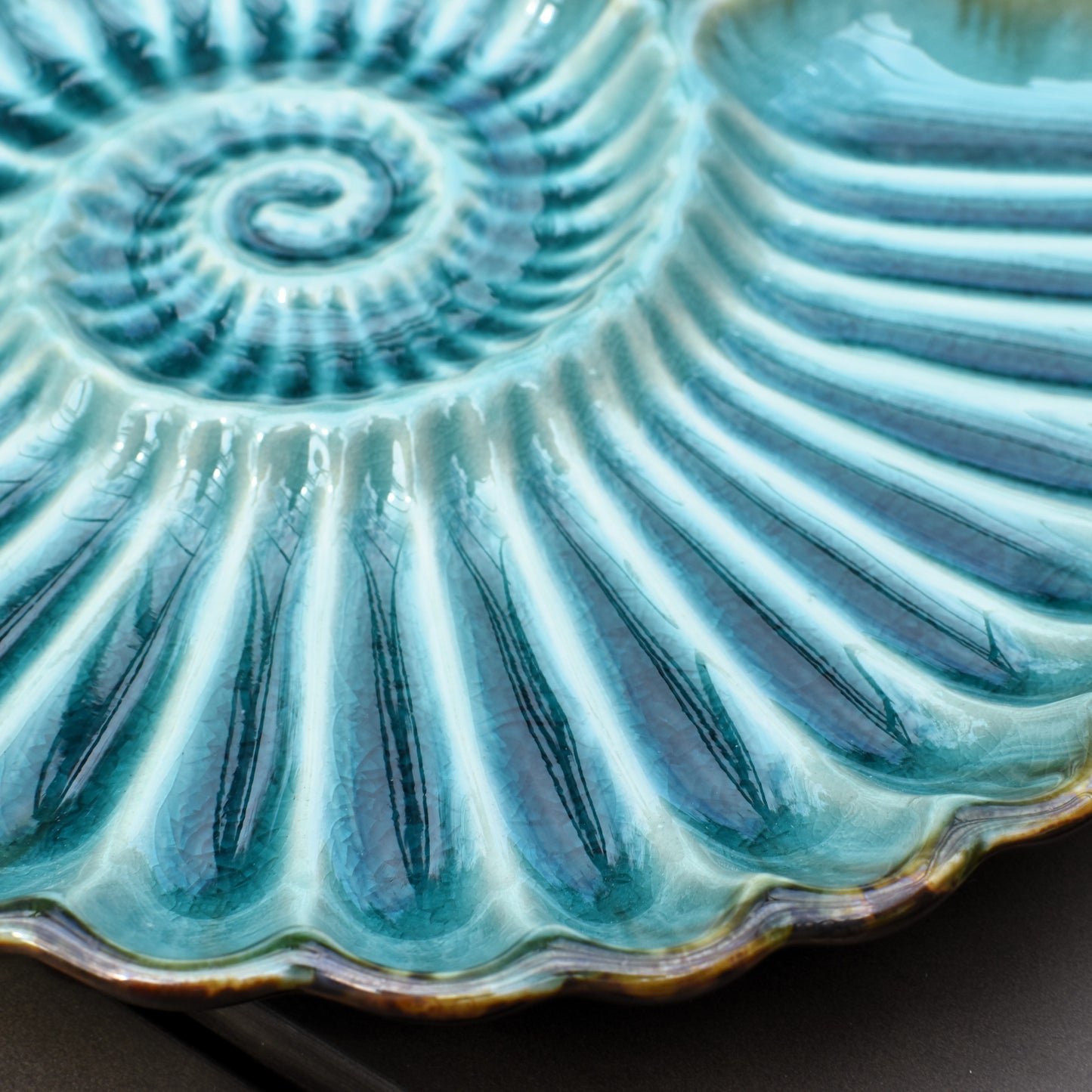 Ammonite Plate - Dark Turquoise