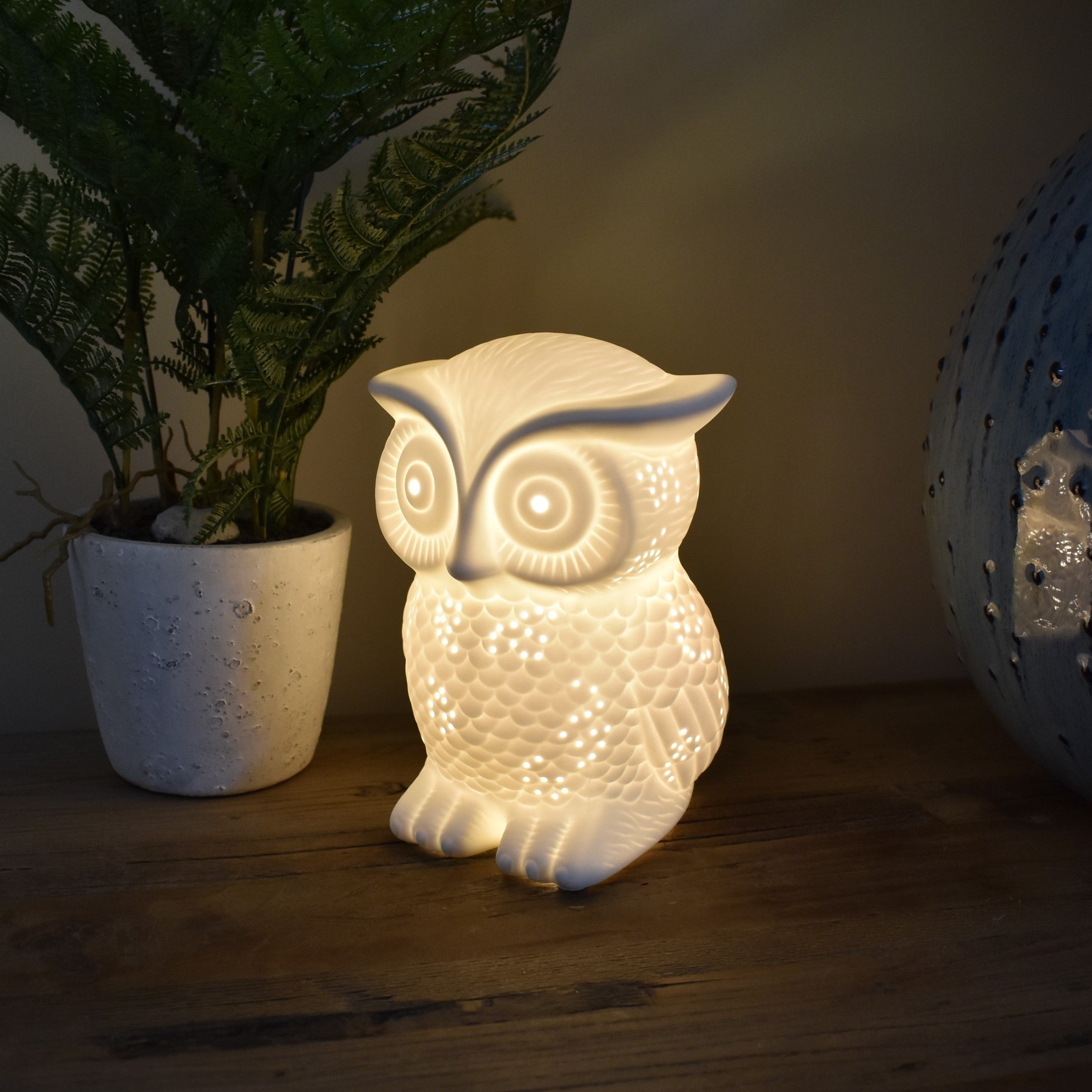 Owl night deals light