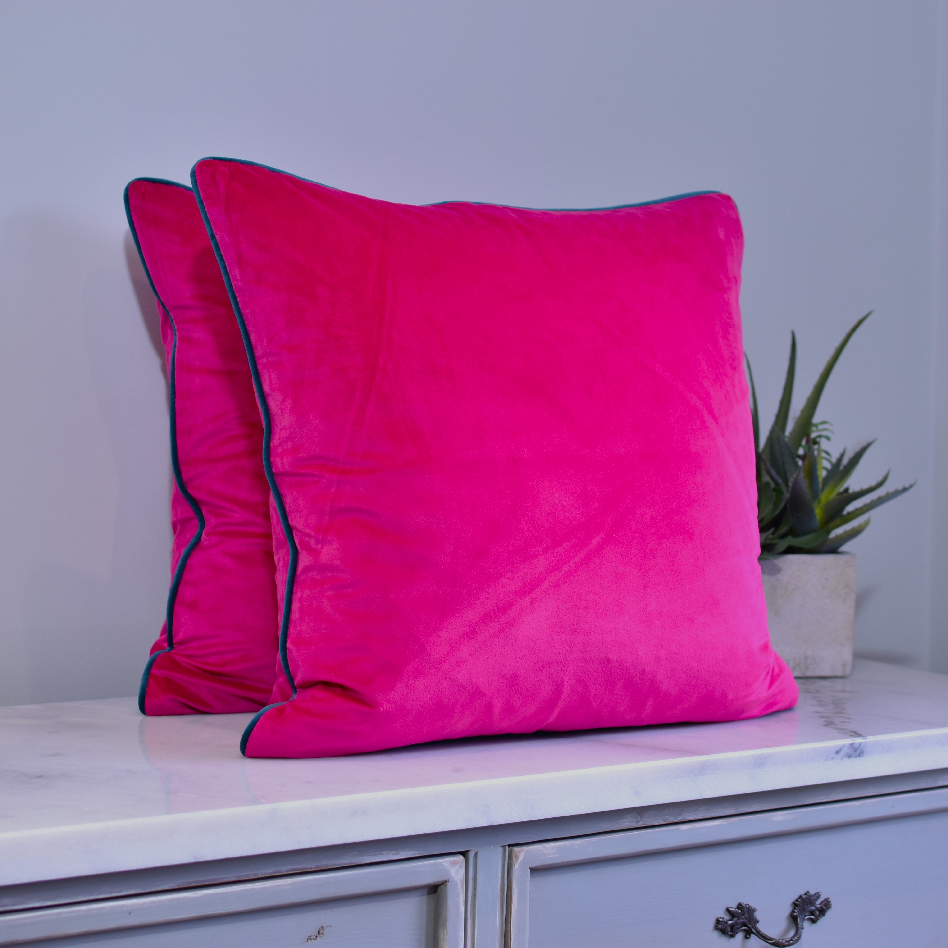 Raspberry cheap velvet pillow