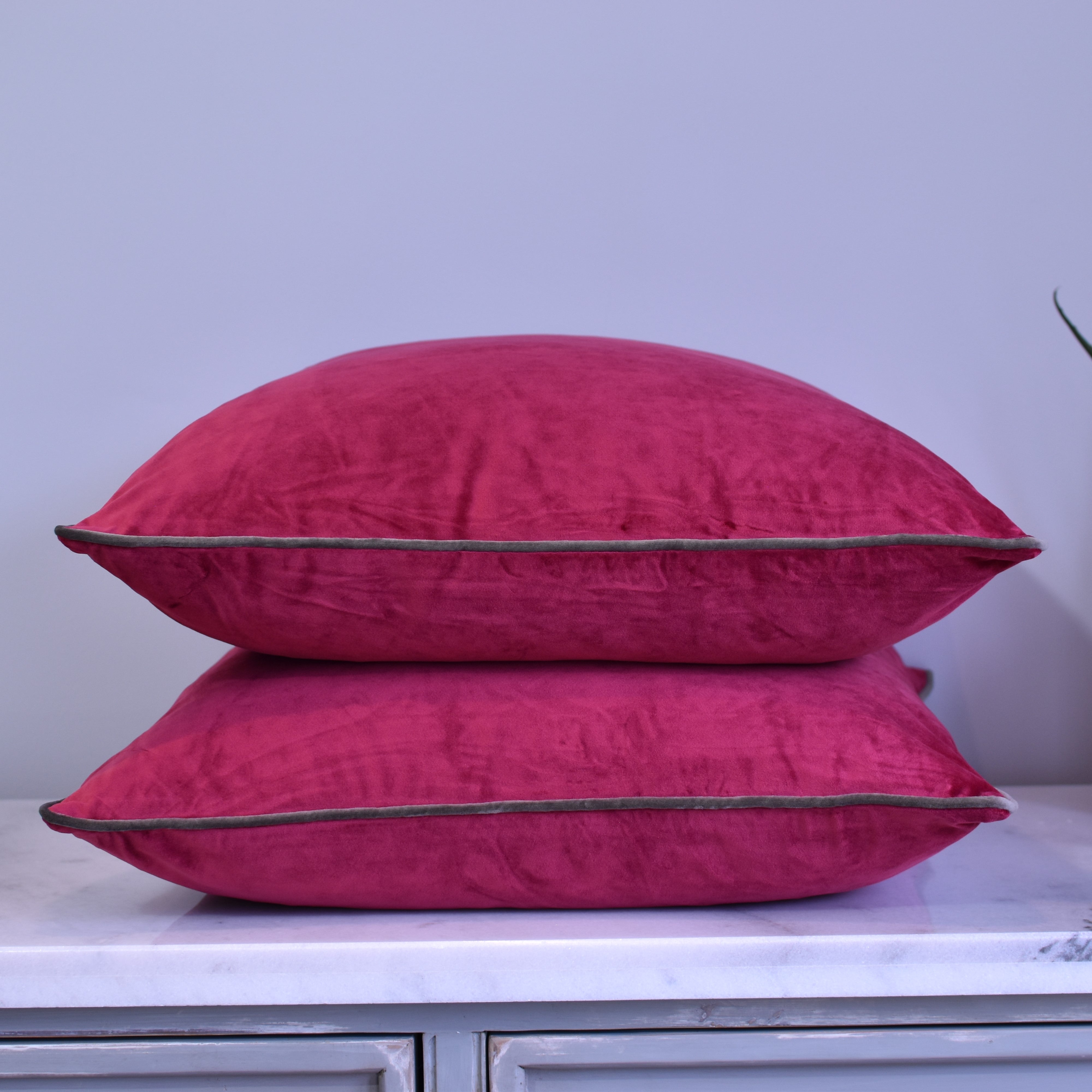 Cranberry shop coloured cushions